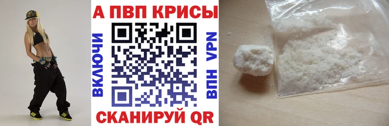 mega как войти  Курчалой  Альфа ПВП СК КРИС 