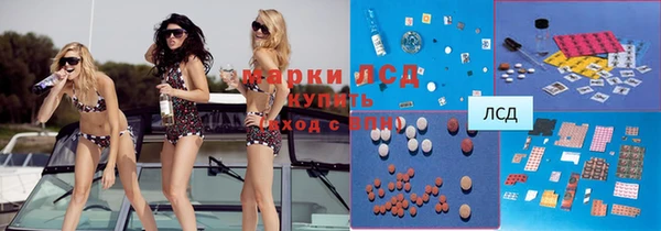 индика Липки