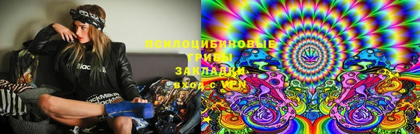 тгк Богданович