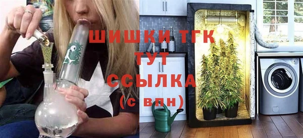 индика Липки