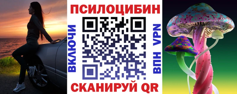 Псилоцибиновые грибы GOLDEN TEACHER  Курчалой 